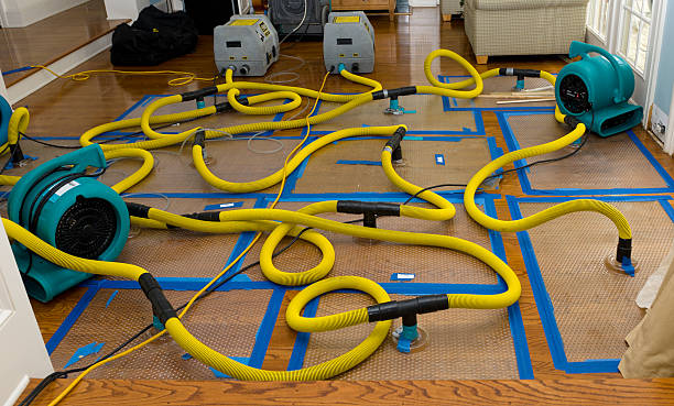 Professional Water Damage Repair technician working in Newfield, ME